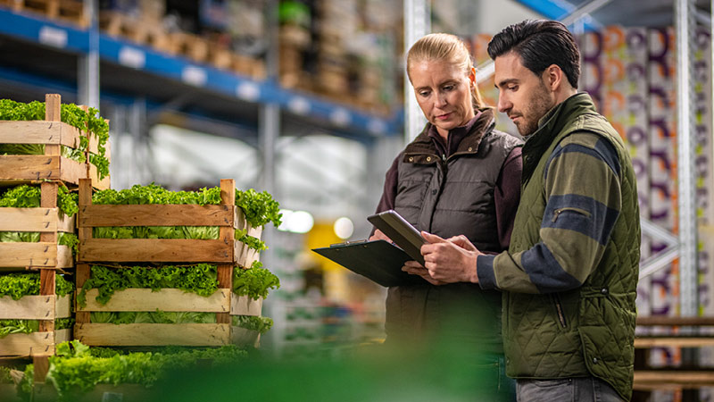 warehouse employees looking at a clipboard with freight boxes