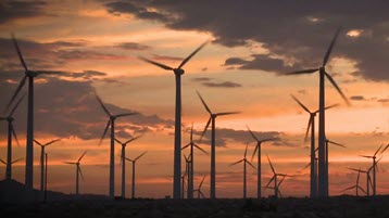 Field of wind turbines producing renewable energy