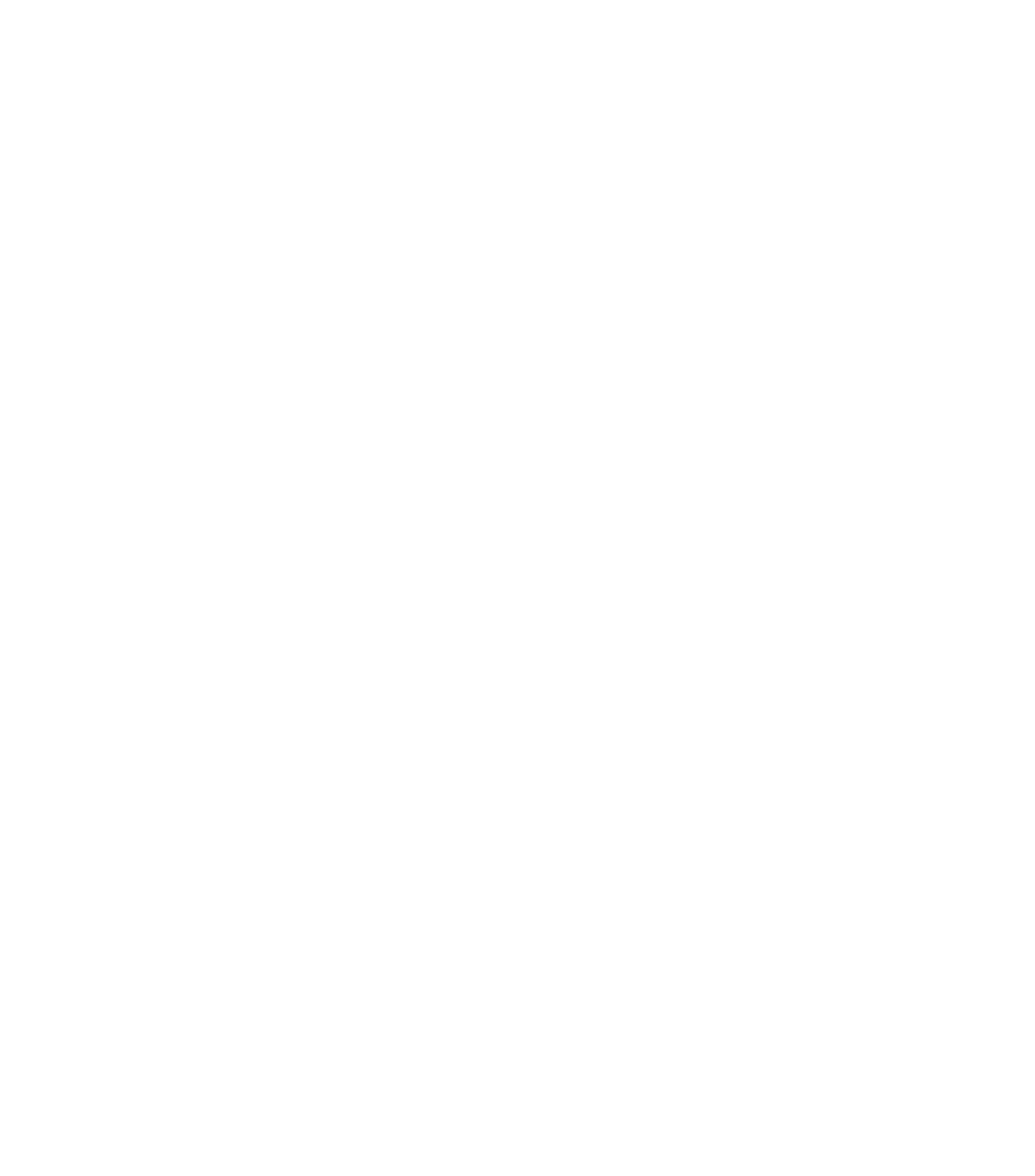 C.H. Robinson Logo