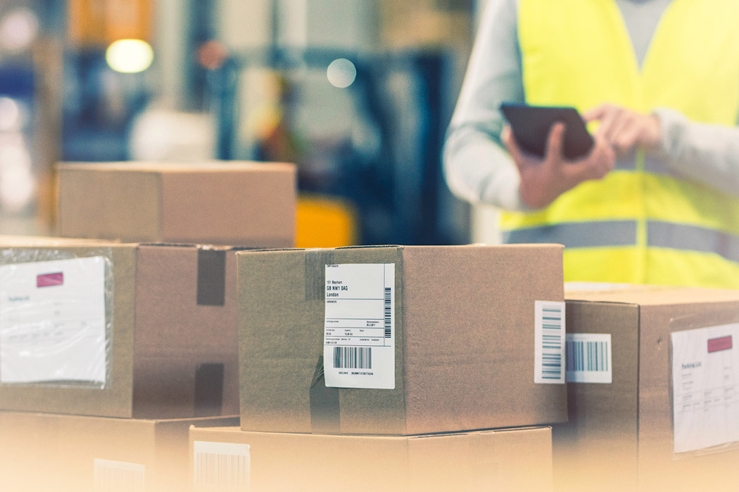 Dock worker managing small parcel freight