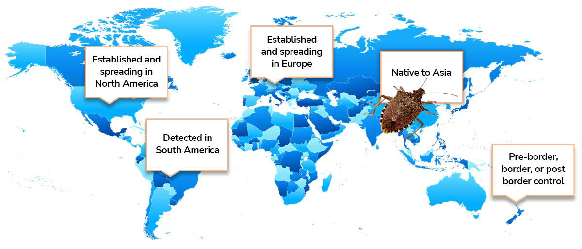 Map showing the spread of the brown marmorated stink bug