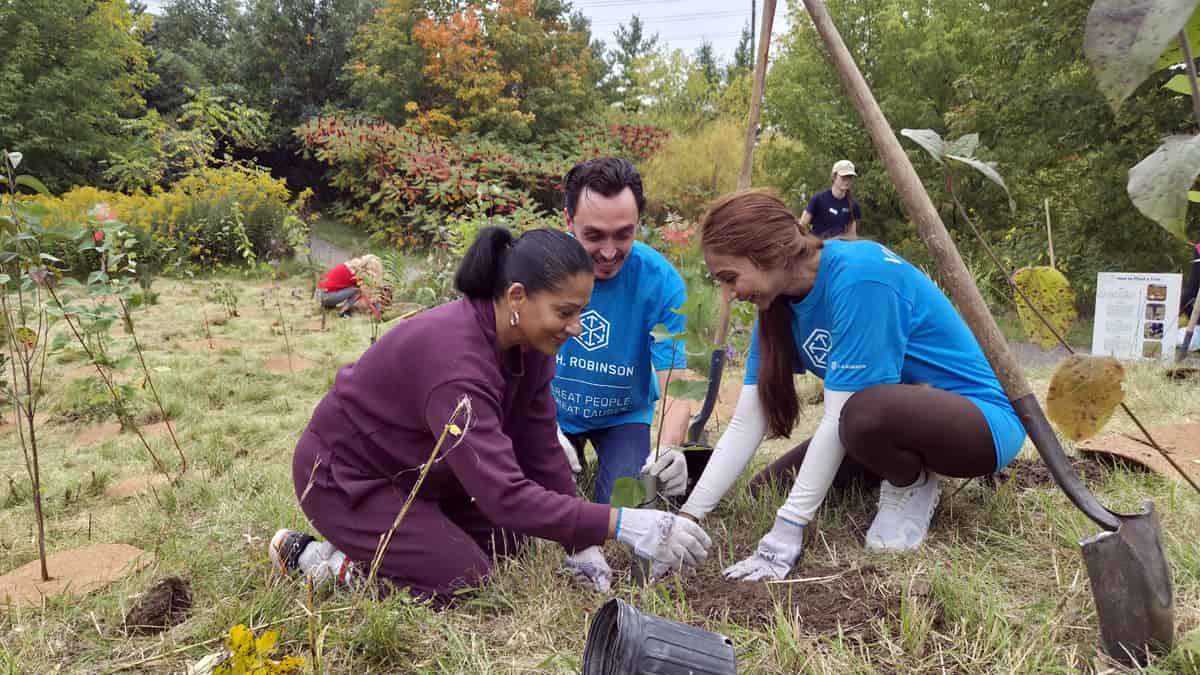 C.H. Robinson employees planting trees and giving back for annual Robinson Cares Month
