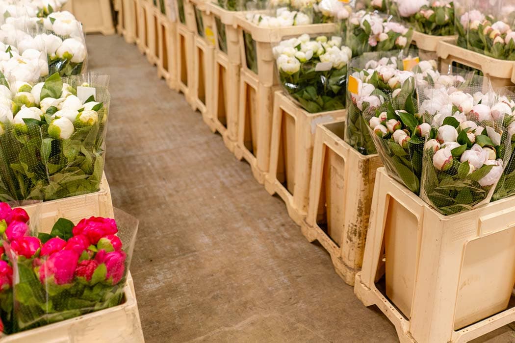 Flowers at a warehouse