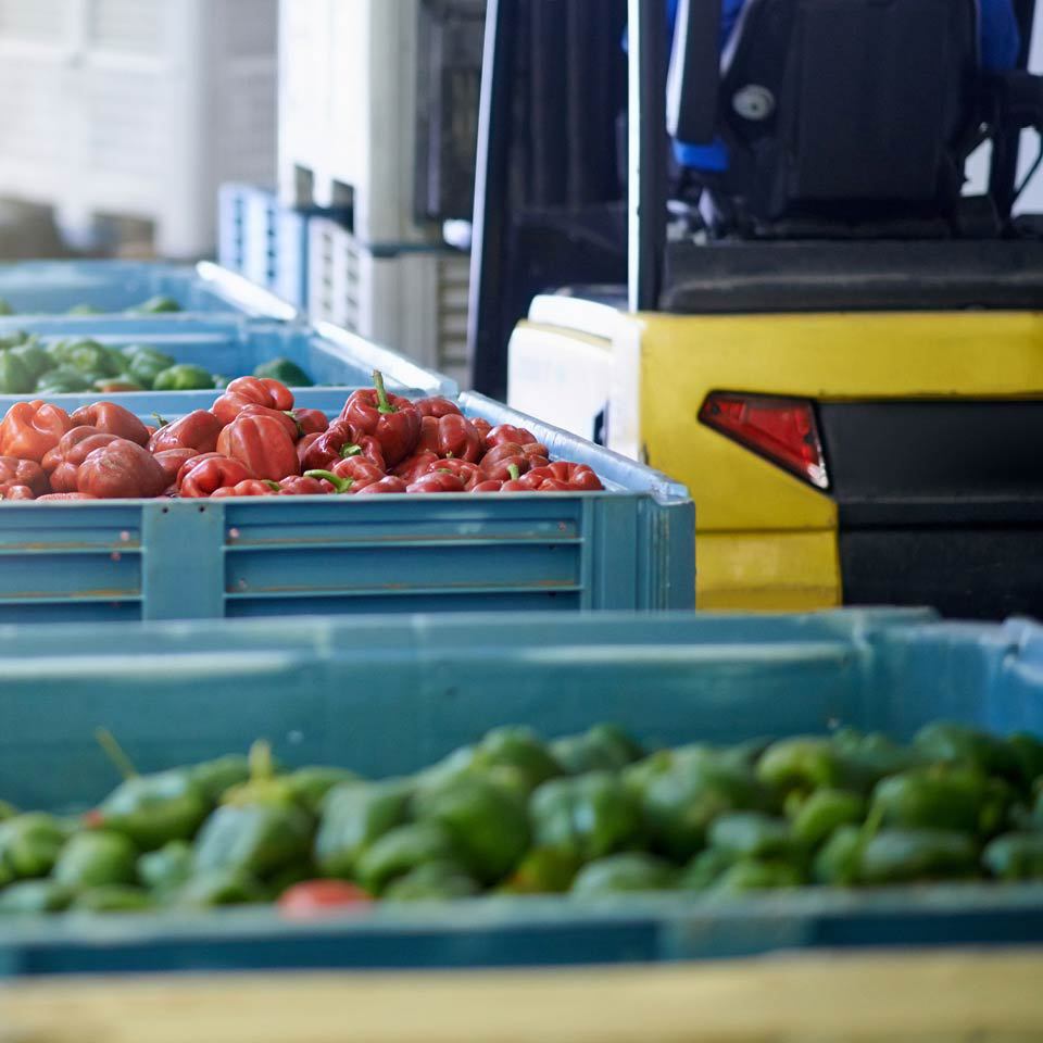 Perishable Representative Perishable Logistics | C.H. Robinson