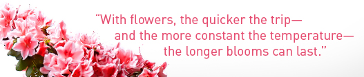Quote: With flowers, the quicker the trip-- and the more constant the temperature-- the longer blooms can last.