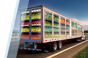 Transparent cold chain truck trailer